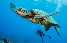 Maui Scuba Diving Introductory Lesson from Lahaina