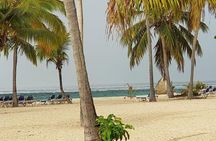 Snorkel Tour on Catalina Island