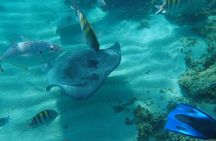 4H Lux 40' Catamaran All-Inclusive in Tulum and Playa del Carmen.