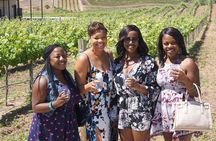 Wine Tasting Tour Includes: Tastings, Personal Charcuterie & more