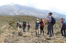 Kilimanjaro Lemosho Route 7 Days
