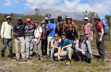 Kilimanjaro Lemosho Route 7 Days