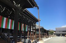 Bike Tour Exploring North Kyoto plus Lunch