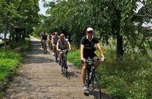 Bike Tour Exploring North Kyoto plus Lunch