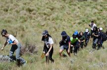 Kilimanjaro Marangu Route 6 Days