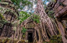 Angkor wat and Small group temples Full day tours 