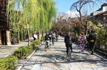 South Kyoto in a Nutshell: Gentle Backstreet Bike Tour!