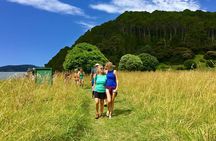 Hole in the Rock Cruise & Island Tour - with two island stopovers
