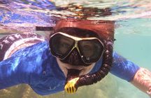 Day Cruise & Island Tour - Snorkel/Wildlife/Paddleboard/Islands