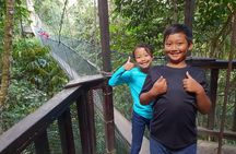 Private Desa Dairy Farm, Kinabalu National Park, Hot Spring & Canopy Walk Tour