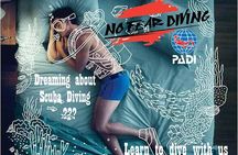 Padi Discover Scuba Diving In Amed Bali