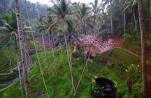 Nungnung waterfall, Sangeh village & Bali swing