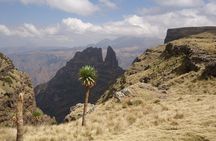 Day trek to Simeien Mountains
