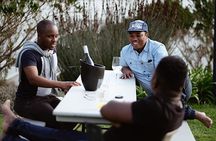 Experience the Southern East Corner - Cape Point in the Peninsula