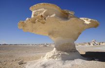 Two Days Tour To Bahariya Oasis And White Desert From Cairo