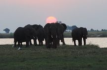 chobe 3hr sunset boat cruise