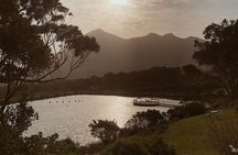 Experience the Southern East Corner - Cape Point in the Peninsula
