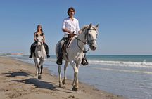 Bodrum Horseback Riding Experience with Hotel Transfer