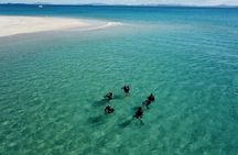 Great Keppel Island PADI Discover Scuba Dive with Keppel Dive