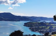Dunedin City and Coastal Views 3-Hour Small-Group Guided Tour