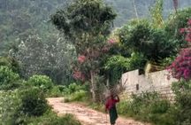 A Day At Nandi 