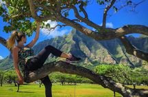 4 Hour Half Day Island Jeep Tour