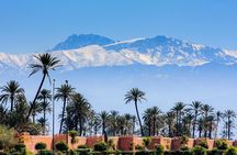 Marrakech Cultural & Historical tour from agadir with souks visit
