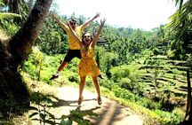 Ubud :Spectacular Waterfalls & Temple Tour 