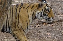 Two Days Package Jaipur Tour by Car.