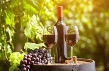 Wine Tasting Tour