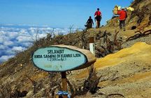 Mount Ijen Crater - Blue Fire Tour From Bali - Include Hotel