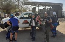 ETOSHA PARK SAFARI with local guides in 9-seater 4x4s