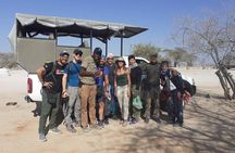 ETOSHA PARK SAFARI with local guides in 9-seater 4x4s