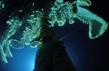 Cenotes 2-Tank Dive in Playa del Carmen/for certified divers only