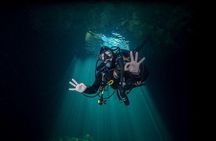 Cenotes 2-Tank Dive in Playa del Carmen/for certified divers only