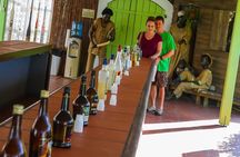 Couples Private St. Lucia Highlights Tour