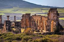 Day Trip from Fez to Meknes and Volubilis