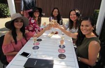 6 Hour Private Customized Wine Tour up to 7 Guests Napa & Sonoma