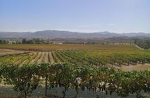 wine tours and driver service through valle de guadalupe, Ensenada B.C. Mexico
