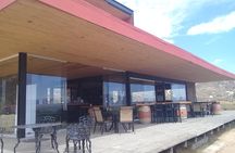 wine tours and driver service through valle de guadalupe, Ensenada B.C. Mexico