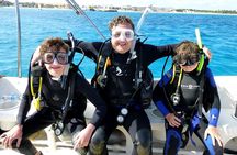 Discover Scuba Diving Course in Playa del Carmen with Two Coral Reef Dives