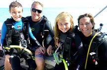 Discover Scuba Diving Course in Playa del Carmen with Two Coral Reef Dives