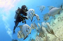 Open Water Diver 2-Day PADI Course in Playa del Carmen