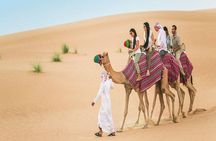 Private Evening 4x4 Desert Safari - Exclusive Vehicle 