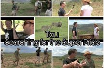 Kruger Lion Expedition with the Little Lionman Steve Kelly