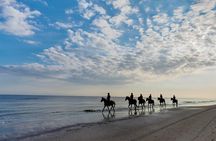 Horse Riding By The Beach With Hammam And Massage