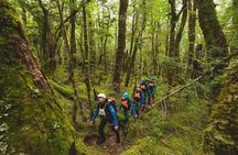 Full-Day Routeburn Canyoning Adventure from Queenstown
