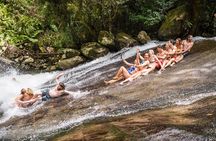 Fun, Falls and Forests Day Trip from Cairns