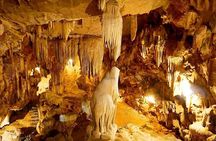 Ninh Binh Tour 1 Day: Hoa Lu, Tam Coc, Mua Cave, Bich Dong Pagoda