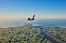 Kaikoura Whale Watching - Ultimate Experience 